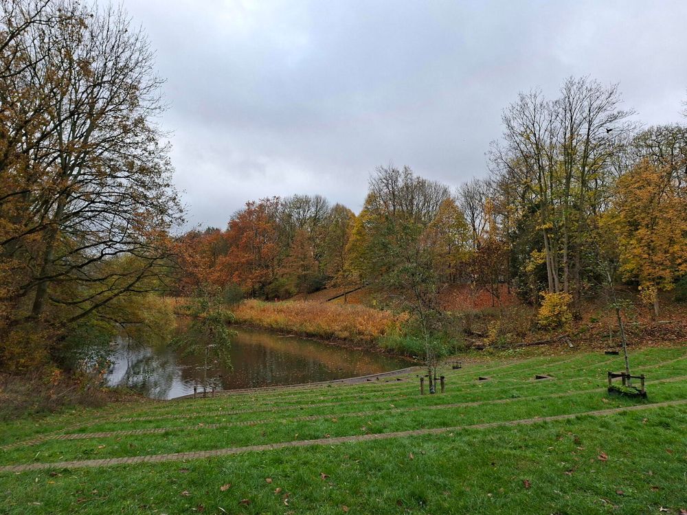 Herfst in Berchem