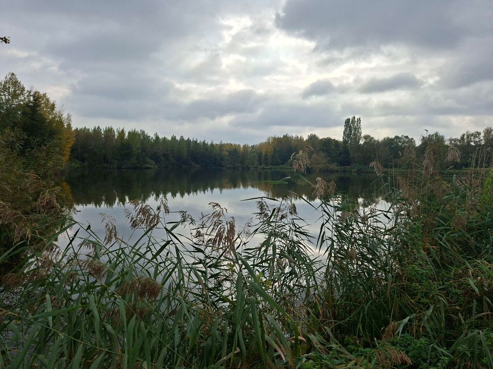 Meertje naast de Schelde
