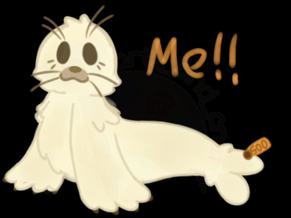 You can tell it's me not just by the facial look but it's my tag, my name is Seal#005 by full information but Seal is more simple (yet confusing).