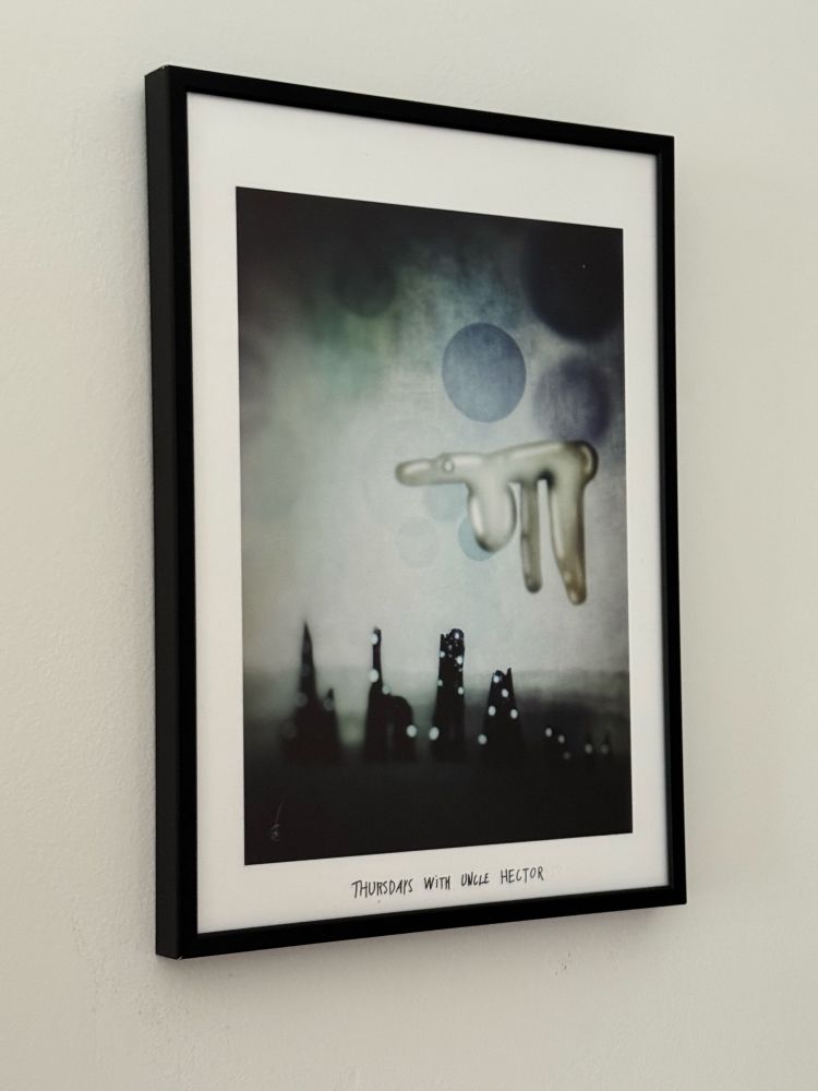 A framed and hung print on my wall. It shows a huge flouting creature thing 