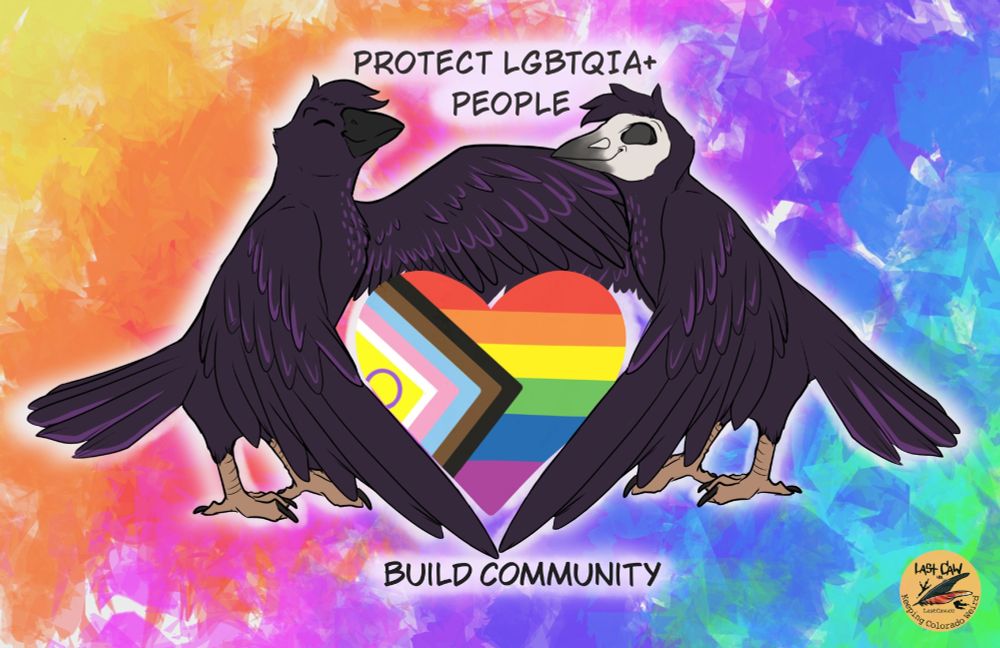Image showing the Last Caw crow mascots Caw and Echo embracing a progress pride heart with their wings. Text on the image says "Protect LGBTQIA+ people" and "Build community."