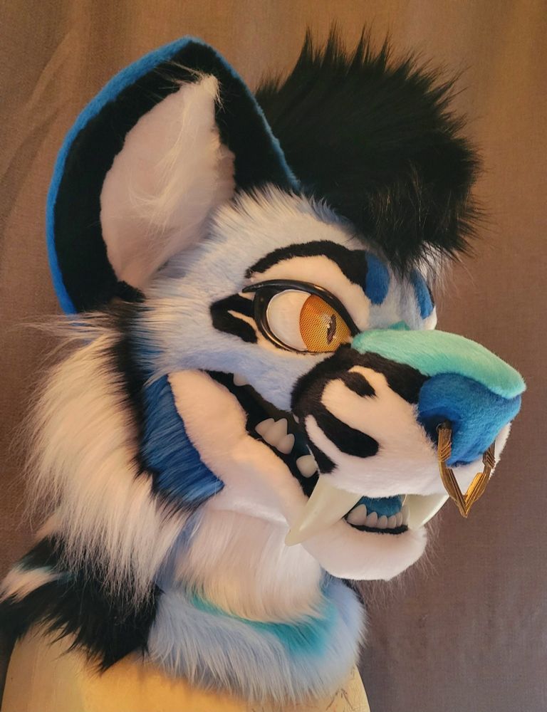 Blue, dark blue, white, black saber tooth cat fursuit head with gold nose percing. 