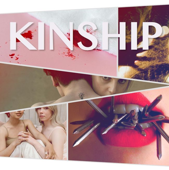 Collage of 5 images overlaid with word KINSHIP: sharp metal nails coming out of a bright red lipsticked mouth, a lesbian couple clasping hands, a bloody white cloth against a pink background, light shining behind a spiderweb with a juicy spider and the shadow of a hand, a man's bare back as he is held by another man.