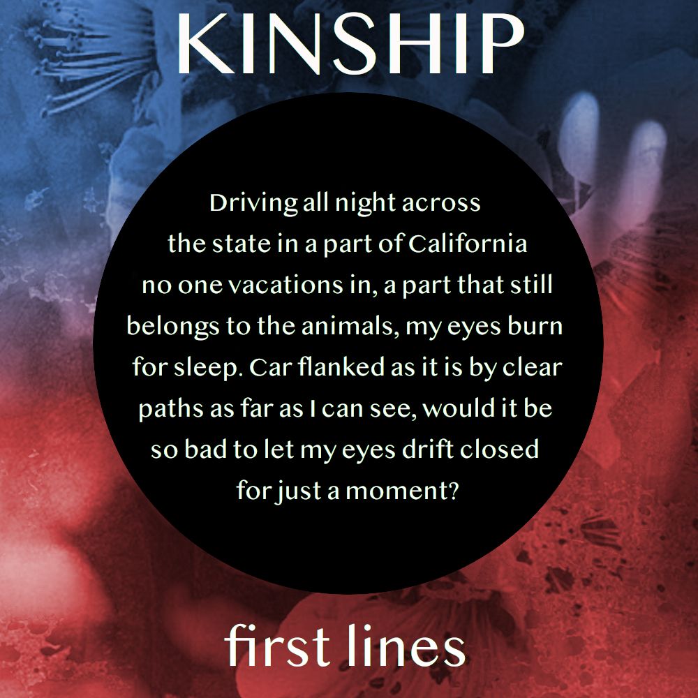 KINSHIP first lines. Driving all night across the state in a part of California no one vacations in, a part that still belongs to the animals, my eyes burn for sleep. Car flanked as it is by clear paths as far as I can see, would it be so bad to let my eyes drift closed for just a moment?