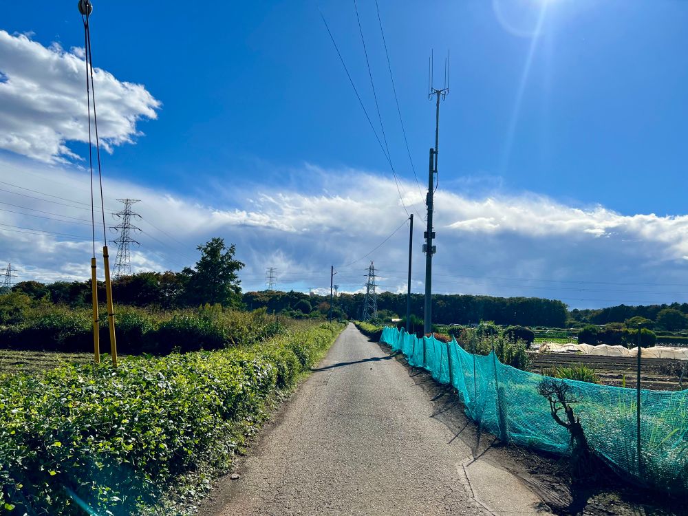 左右が畑、遠くに林が見える道