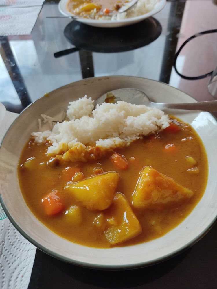 A plate of curry with rice.
