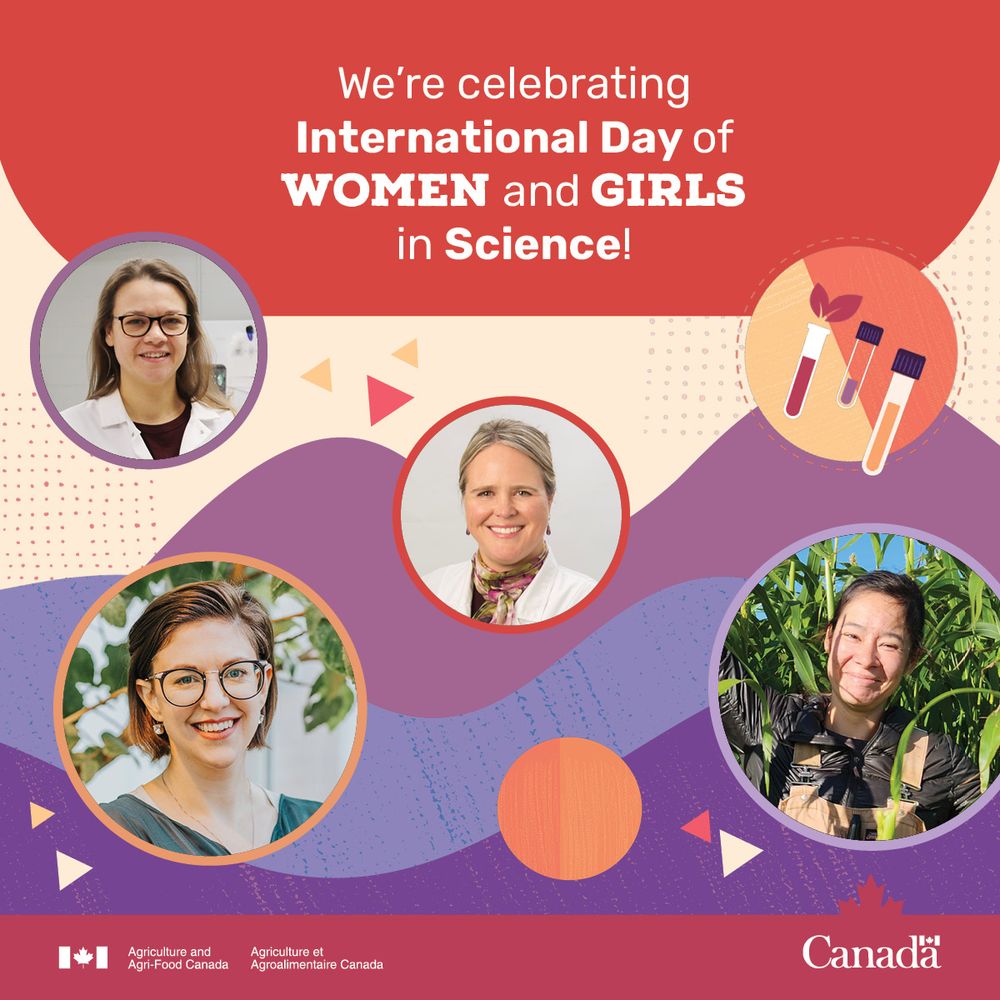 Images of four women with text that says, “We’re celebrating International Day of Women and Girls in Science!”