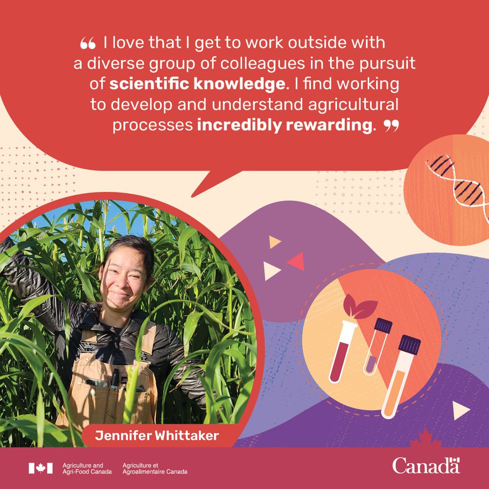 A woman standing outdoors in a field of farm crops. A photo of a person with a quote bubble that says, “I love that I get to work outside with a diverse group of colleagues in the pursuit of scientific knowledge. I find working to develop and understand agricultural processes incredibly rewarding.”