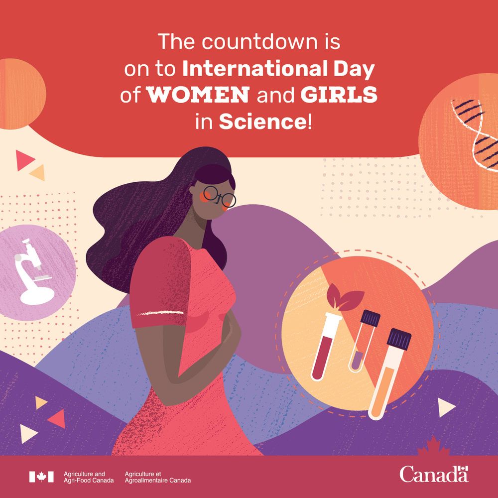 Text on the graphic says “The countdown is on to International Day of Women and Girls in science!