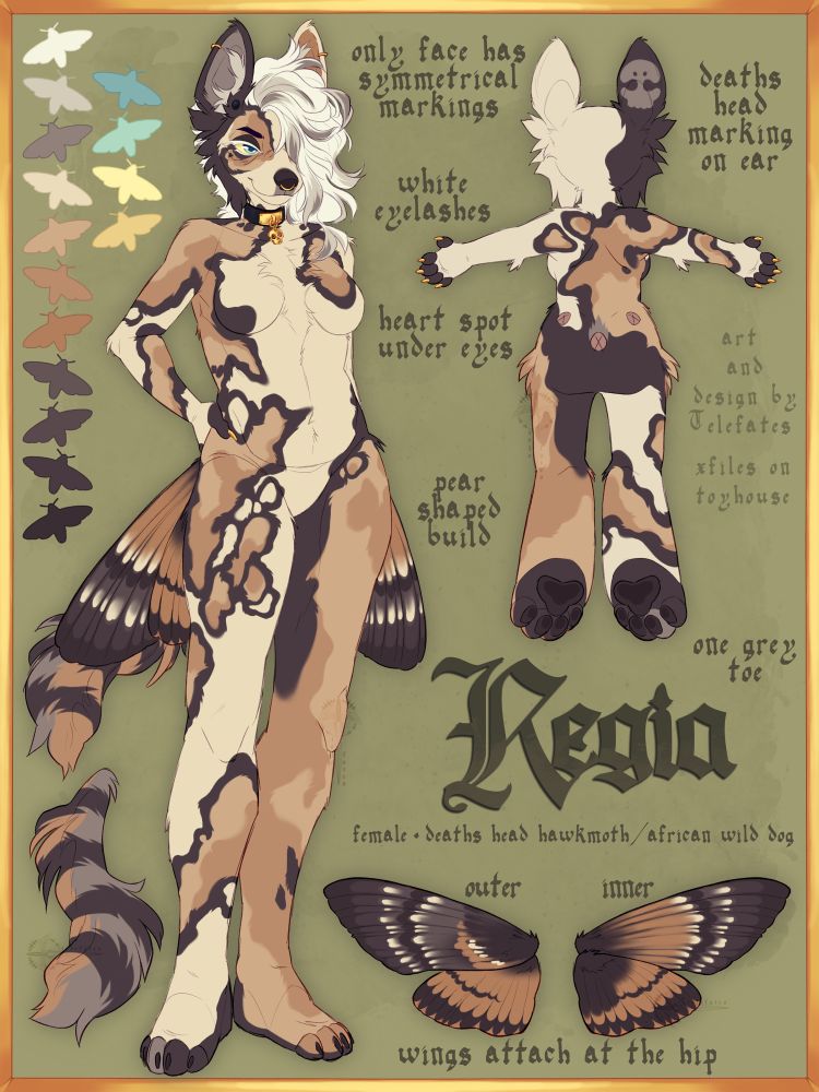 anthro furry OC custom design, sketch anthropomorphic reference sheet, character ref view, female African wild dog awd moth hybrid fursona, natural palettes brown orange mix with wings, white eyelashes, gold accents