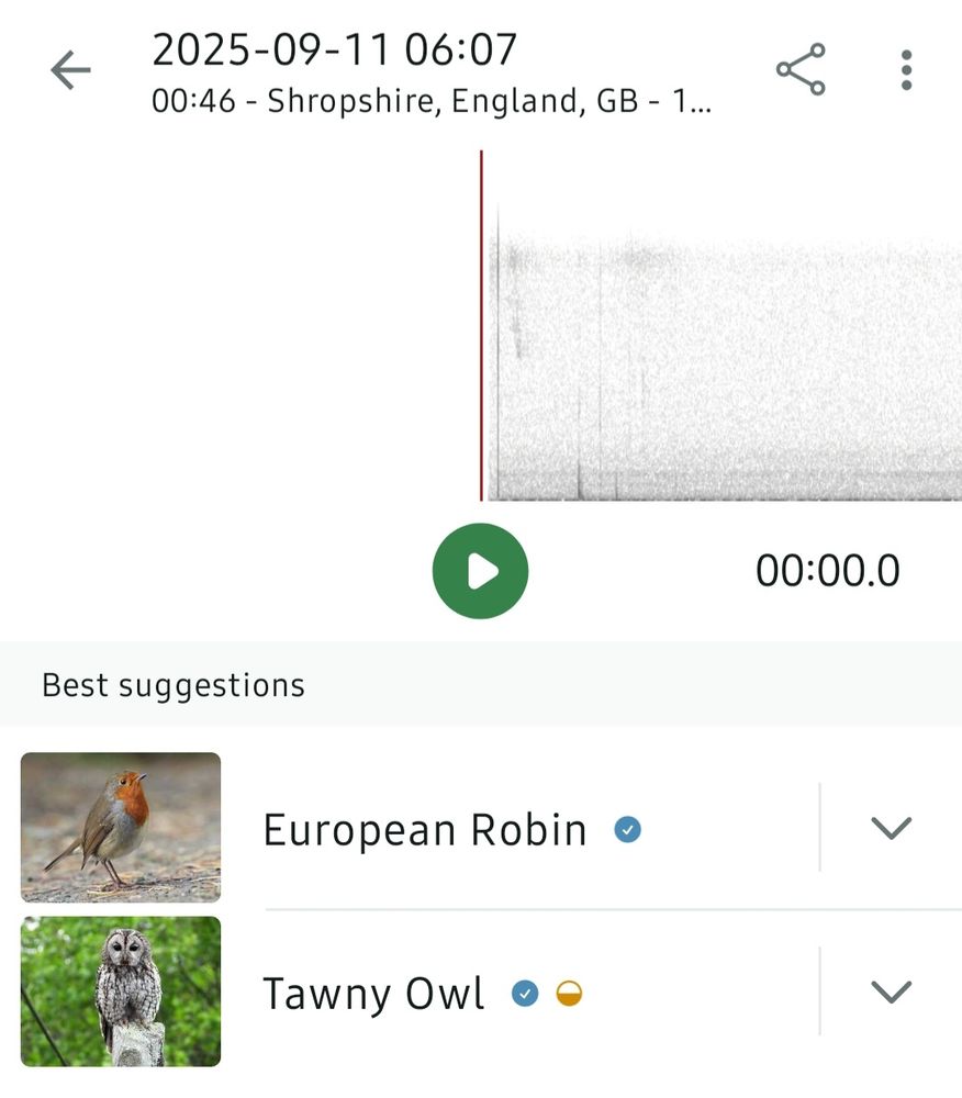Screenshot from the Merlin app, showing calls from a European Robin and a Tawny Owl.