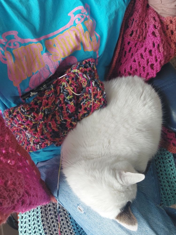 A white cat with one brown ear seen from above, curled up on the lap of a person wearing light blue jeans, a turquoise graphic t-shirt that reads 'Livin Simply', and an orange and pink loose crochet cardigan, with a multicoloured crochet project resting on top of the cat.