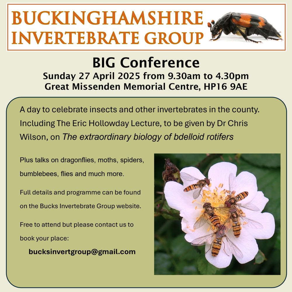 Flyer for conference:
Bucks Invertebrate Group Conference
Sunday 27 April 2025 from 9.30am to 4.30pm, Great Missenden Memorial Centre, HP16 9AE
A day to celebrate insects and other invertebrates in the county. Including The Eric Hollowday Lecture, to be given by Dr Chris Wilson, on The extraordinary biology of bdelloid rotifers.
Plus talks on dragonflies, moths, spiders, 
bumblebees, flies and much more.

Full details and programme can be found on the Bucks Invertebrate Group website.

Free to attend but please contact us to book your place:
bucksinvertgroup@gmail.com