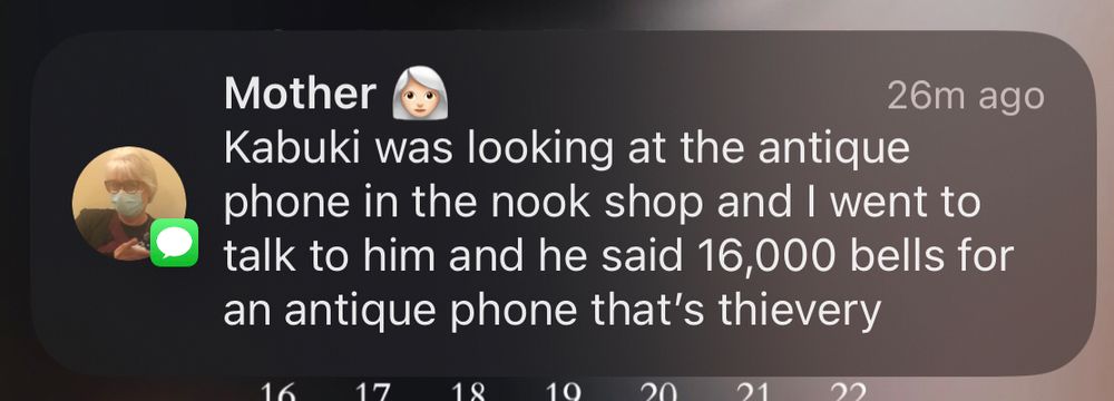 a text from my dear mother (she plays animal crossing, for context): Kabuki was looking at the antique phone in the book shop and i went to talk to him and he said 16,000 bells for an antique phone that’s thievery”