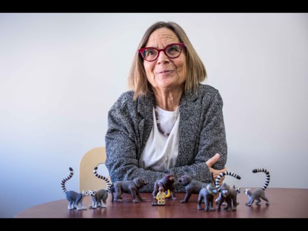 ASU primatologist Joan Silk talks about her new essay, "The natural history of social bonds"