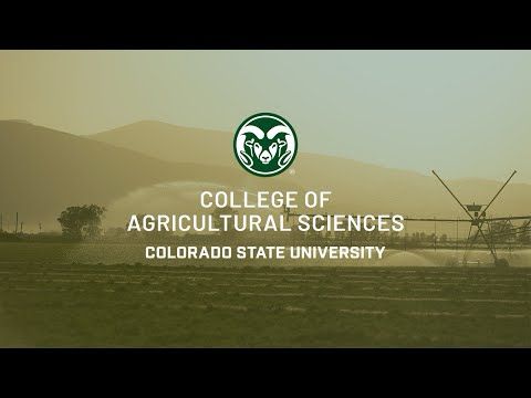 Welcome to the CSU College of Agricultural Sciences