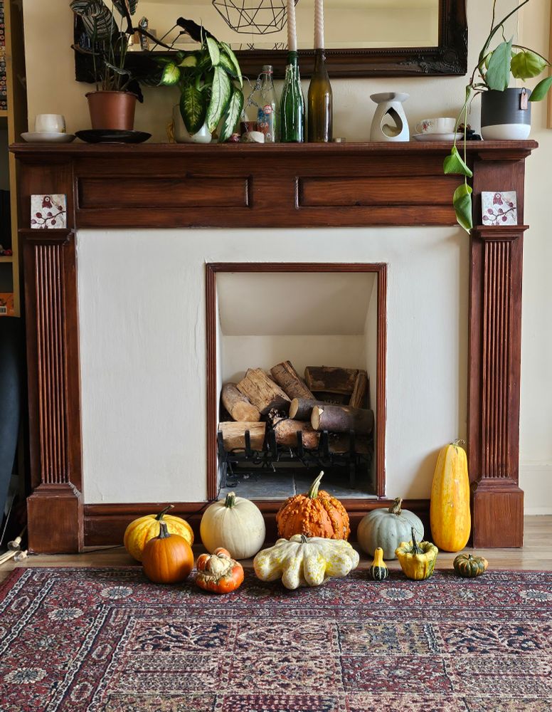 Photo of a selection of pumpkins and squash