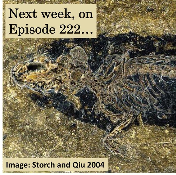 Fossilized skeleton of a small mammal, with the skull on the left and an arm toward the bottom. Text above the image says "Next week, on Episode 222..."
Image from Storch and Qiu 2004