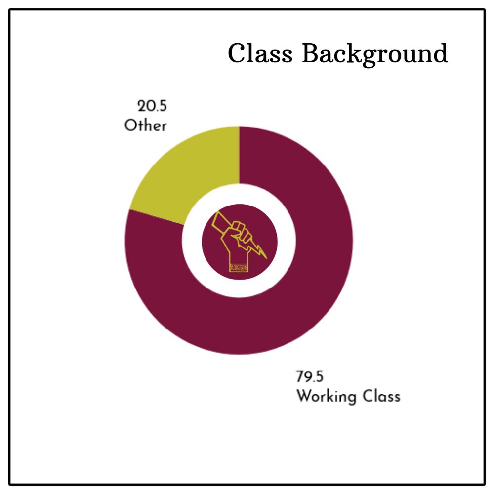 A graph showing class background percentages. 79.5% working class, 20% other