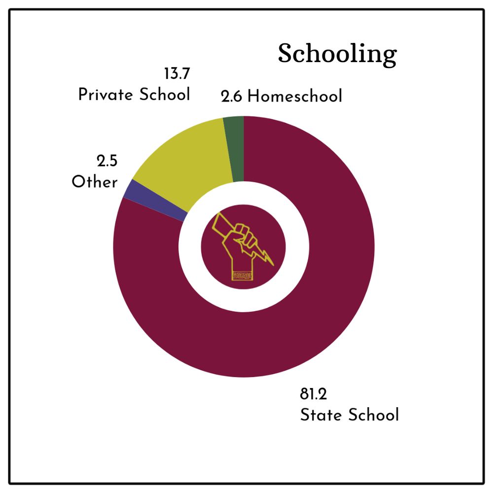 A graph showing schooling background percentages. 81.2% state school, 13.7% private school, 2,6% homeschooled, 2.5% other