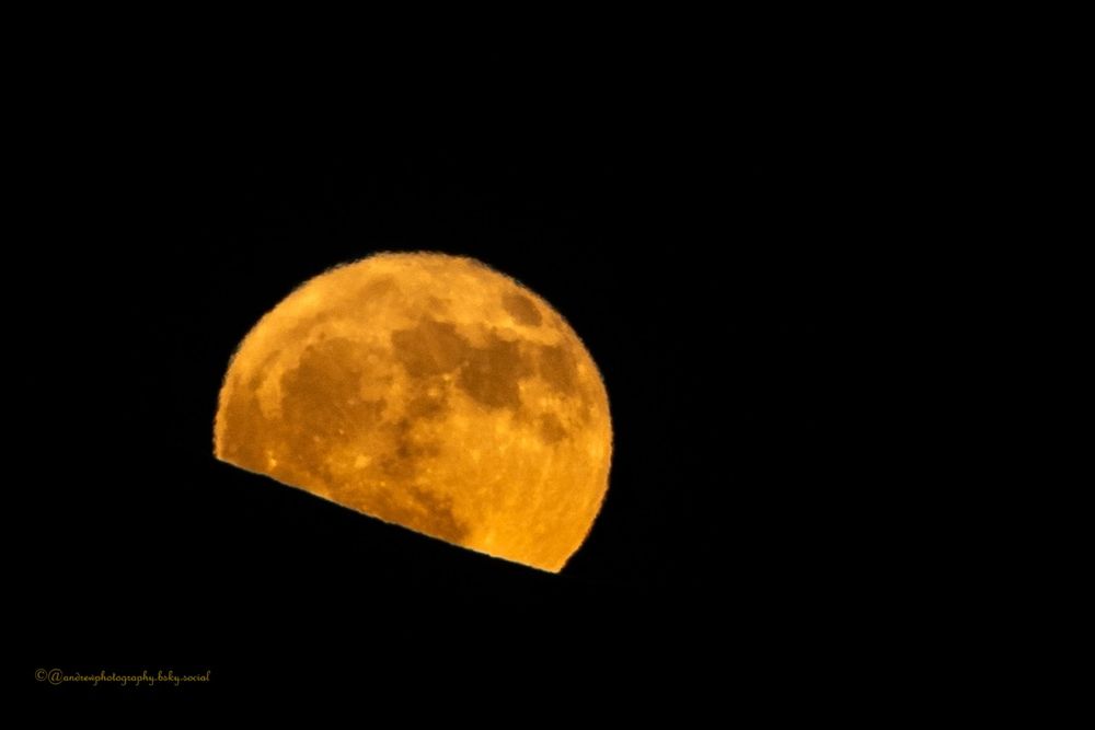 Half Moon Ascent:
A magnificent half-moon blazes like a golden medallion against the darkness, its textured surface revealing ancient craters and smooth plains in striking detail as it climbs above the mountain's edge