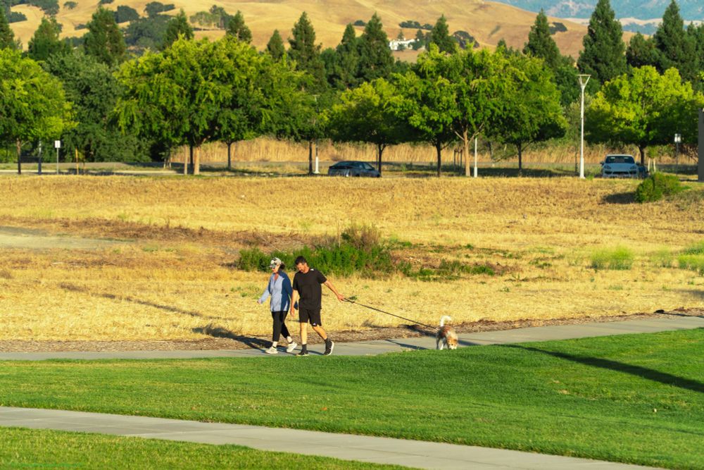 Two people walking their small dog on a paved path through a suburban park area during golden hour, with lush green grass in the foreground, mature trees lining the background, and golden rolling hills visible in the distance