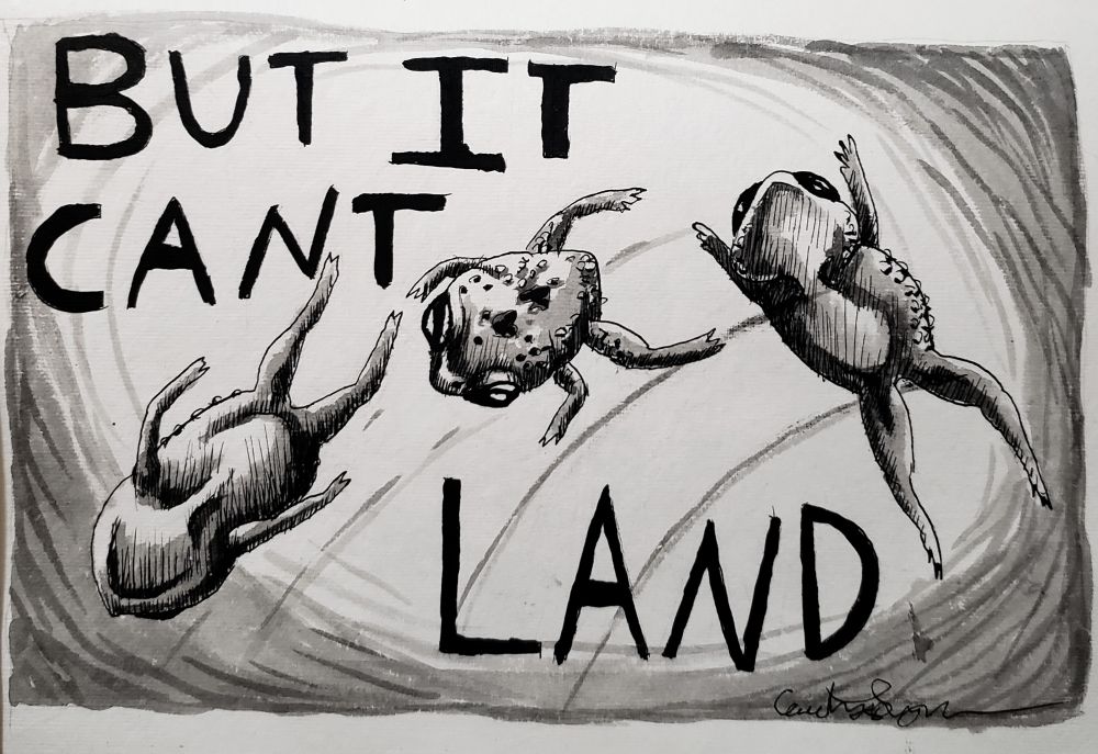An ink drawing of the words "But it can't land" along with a pumpkin toadlet drawn three times to depict it jumping, and landing head first into the ground, as pumpkin toadlets often do. 