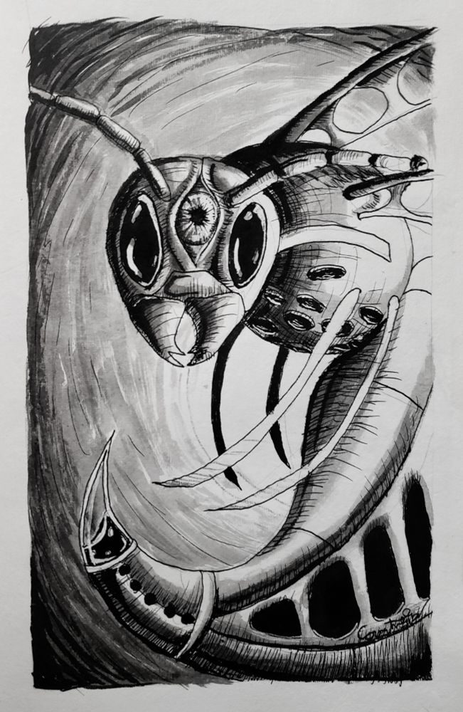 An ink drawing of a surreal looking bio-mechanical wasp. It has a third eye in the center of it's head and is stinger is full of ink.