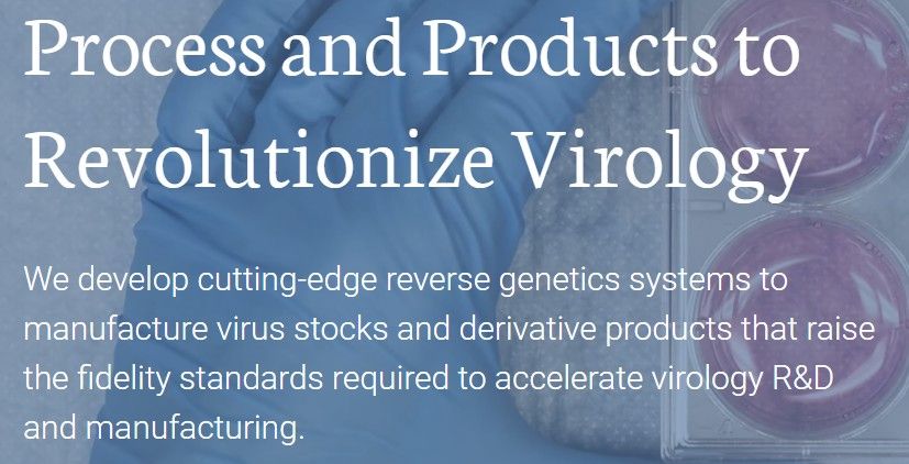 Image with the following words: Process and Products to Revolutionize Virology
We develop cutting-edge reverse genetics systems to manufacture virus stocks and derivative products that raise the fidelity standards required to accelerate virology R&D and manufacturing.