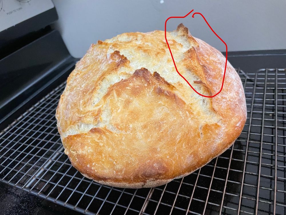 His bread, with circles drawn to point out the ears on his loaf