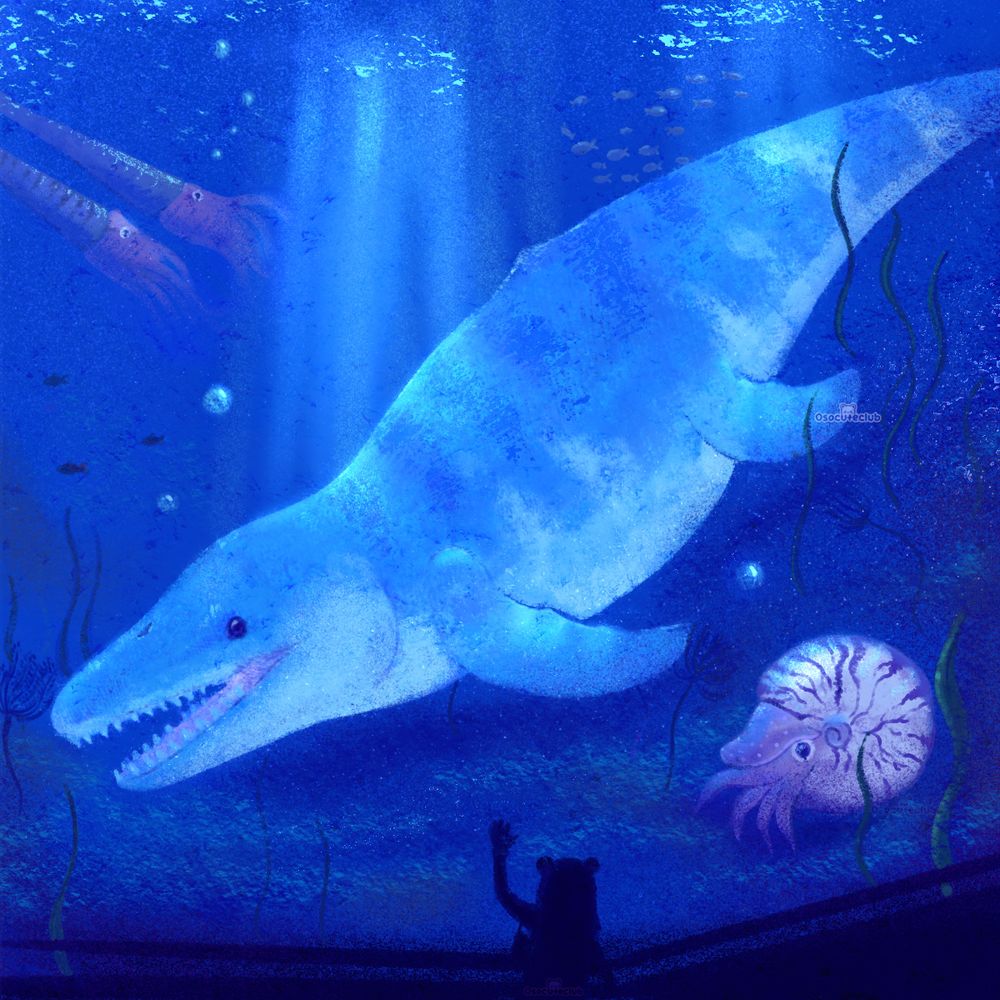 A digital painting depicting a prehistoric aquarium. In the foreground is the silhouette of a girl with her hand pressed against the aquarium glass looking at a mosasaurus swimming by. To the right of the mosasaurus is a nautilus, sea grass, and crinoids. In the top left, swimming behind the mosasaurus, are a group of ammonites and fish.