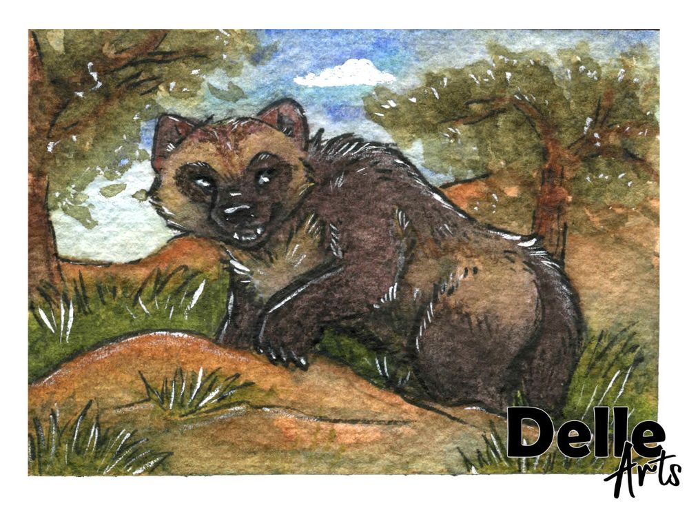 A watercolor painting of a wolverine stepping over a rock with trees and grass around them. 