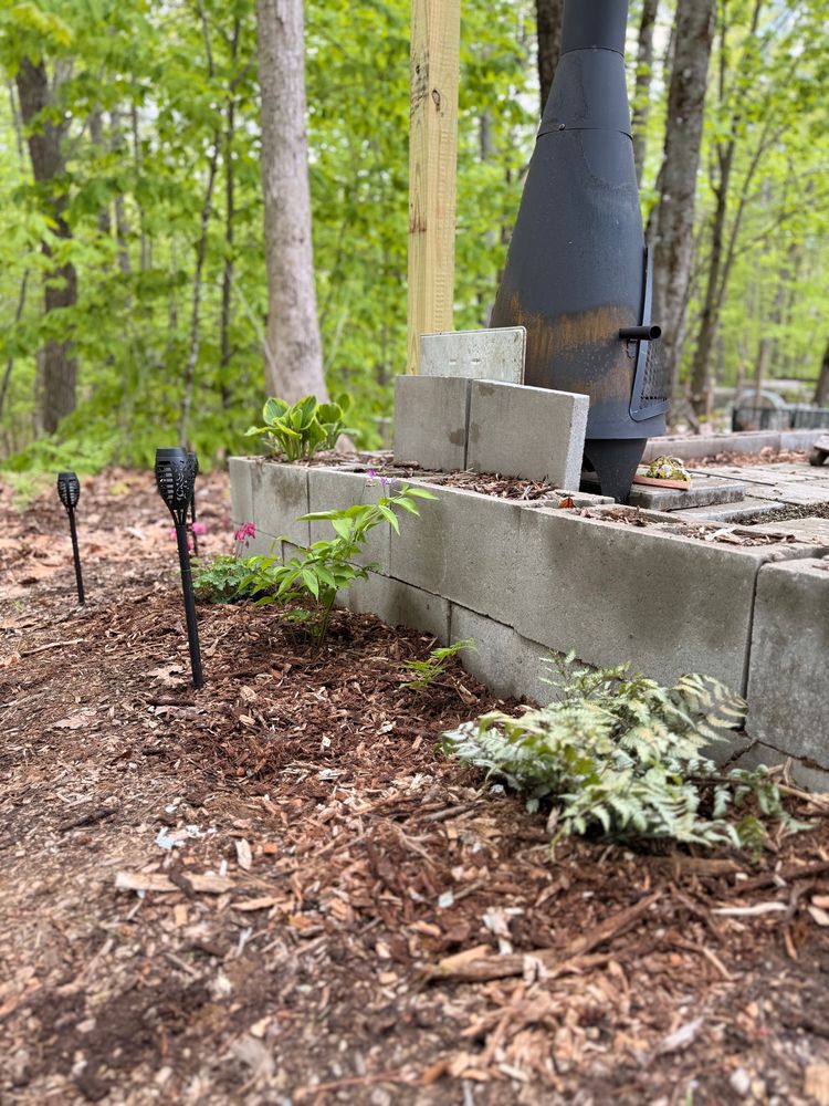 Several woodland perennial shrubs including hostas and bleeding hearts start to fill out the other side of the pergola.