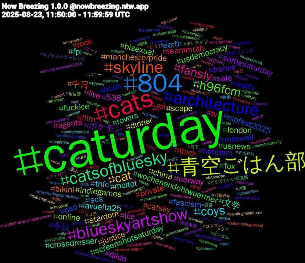 Hashtag Cloud; its hashtagged words/phrases (sorted by weighted frequency, descending):  caturday, cats, 804, 青空ごはん部, blueskyartshow, catsofbluesky, skyline, architecture, h96fcm, fansly, coys, cat, ポケモン, wochenendohrwuermer, thick, nipfest2025, indiegames, ice, fpl, bikini, 今日, usnews, teammoth, scs, scape, sale, rovers, private, maxwell, london, live, lavuelta25, justice, france, fox, film, fascism, china, 538, 文学, 中日, waifu, usdemocracy, tv, thfc, stardom, softiesaturday, screenshotsaturday, rock, pso, online, norway, mcitot, manchesterpride, hotmom, fuckice, fbi, earth, dinner, dildo, crossdresser, catsky, book, bisexual, agents, 코스프레, 커플만남, 초대녀, 욕구, 상납, 미시, 맘눌뎀, 남존여비, 관클, 고민, 青空カフェ部, 瑠璃, 毎日, 晩酌, 新人, 家庭菜園, 大阪, 参加, マシュマロ, ホロライブ, フォロバ, バニー, コスプレ, クー, ガンダム, ガン, カブトムシチャレンジ, ウマ, アート, どうでもいい写真部, どう, ymca, yiff, xmeme, wnba, wife, westcoast, werder, weird, weekendsingles, webcamgirl, vtm, valetudo, uzakşehir, trumpepsteincoverup, thriller, thoughts, theamazingdigitalcircus, sweden, sundaythrowback2008, stream, stags, spireites, spamton, southpark, songlyrics, solo, soccer, smallstreamer, slovakia, sldk, shopping, shop, sgesvw, sega, scpf95, sciencefiction, scffca, scf, saturdayvibes, samsung, run, roman, rockmusic, rip, resistance, rescue, repost, quoteoftheday, president, premierleague, portugal, polqc, politique, pokémon, pokemontcgpocket, pogo, pintosawards, photographie, pedopresident, paintingminiatures, pafc, obey, nsc, nrw, now, novel, nffc, new, nevertrump, netherlands, nerd, nazi, nato, muacademy, movie, minor, mini, military, micropoetry, mcfc, mastodon, mancity, manchestercity, malta, male, lutontown, lutcar, lofc, livre, lewdsky, lesserafim, kamafotos, johnbolton, jleague, ireland, indivisible, hungariangp, homemade, hilda, haltdiefressespringerpresse, hackernews, gourmet, generativeart, gaynsfw