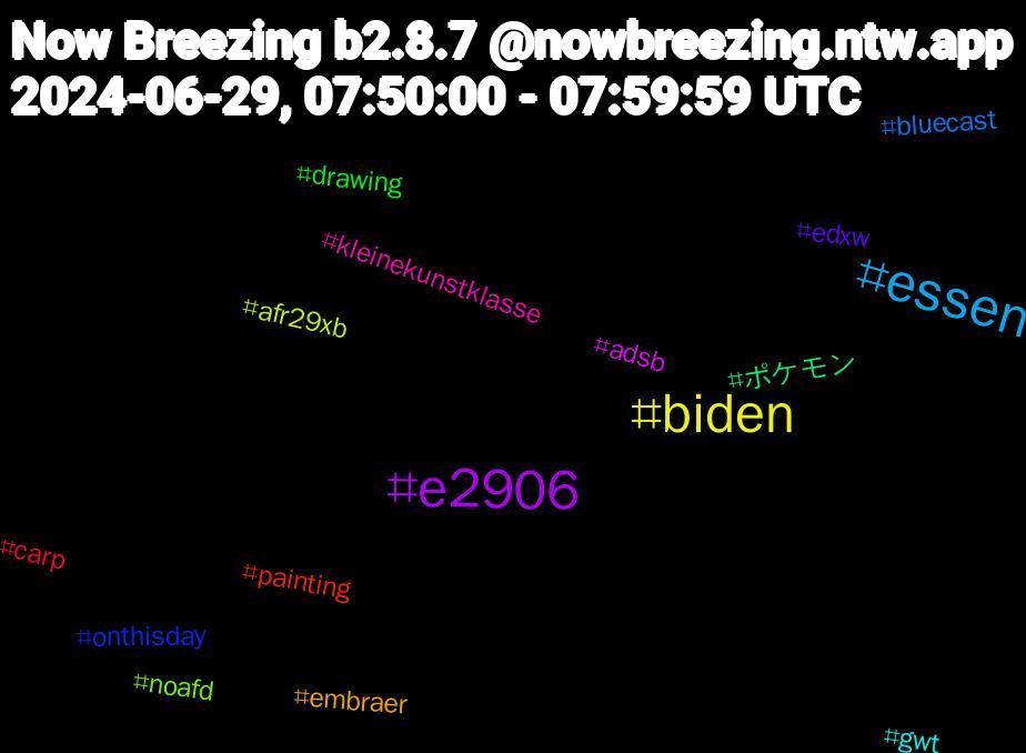 Hashtag Cloud; its hashtagged words/phrases (sorted by weighted frequency, descending):  essen, biden, e2906, ポケモン, painting, onthisday, noafd, kleinekunstklasse, gwt, embraer, edxw, drawing, carp, bluecast, afr29xb, adsb
