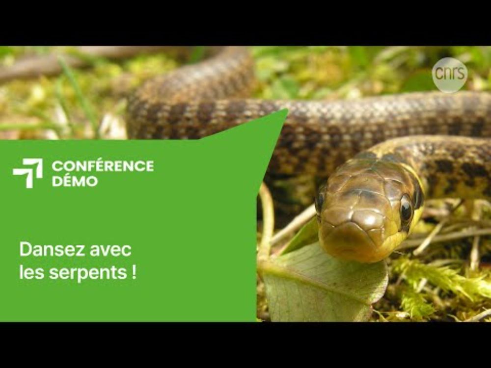 Dansez avec les serpents ! | Conférence-démo | Les Échappées inattendues
