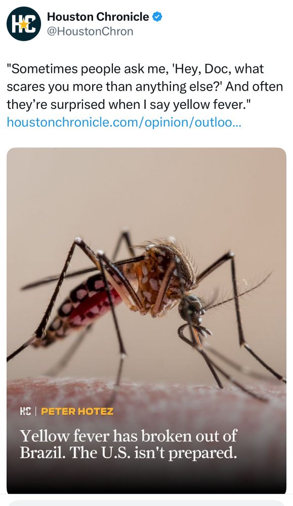 Risk of Yellow fever in Southern U.S. 