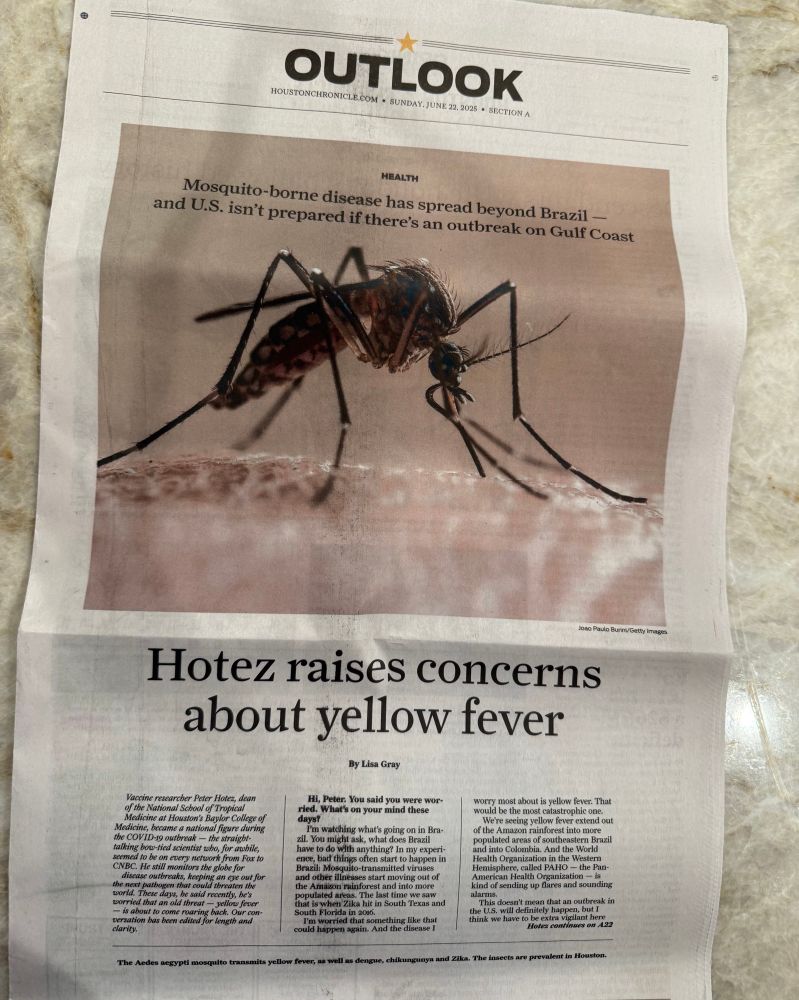 Houston Chronicle 