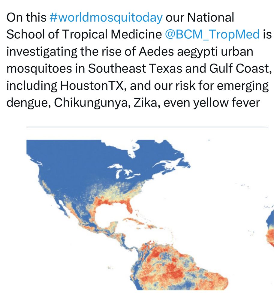World Mosquito Day posting