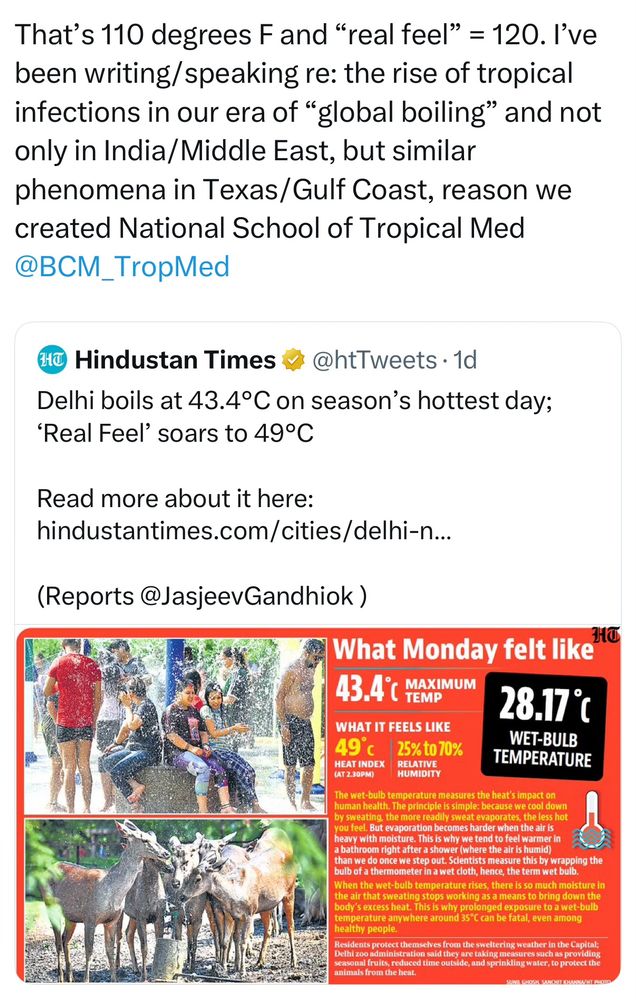 Summary of our era of global boiling 