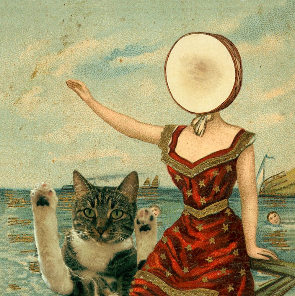 albumomslaget till Neutral Milk Hotel - In the Aeroplane Over the Sea med min katt Taffy inklippt för att ersätta pojken med de uppsträckta händerna
