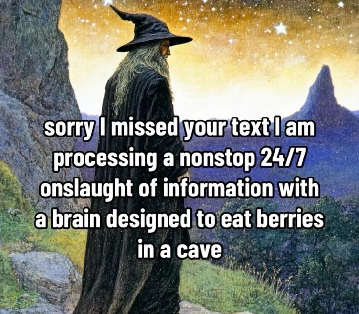 Wizard meme with an old, beared man in a wizard hat and robes looking out onto a mountain valley. Text overlayed onto the image reads, "sorry I missed your text I am processing a nonstop 24/7 onslaught of information with a brain designed to eat berries in a cave".