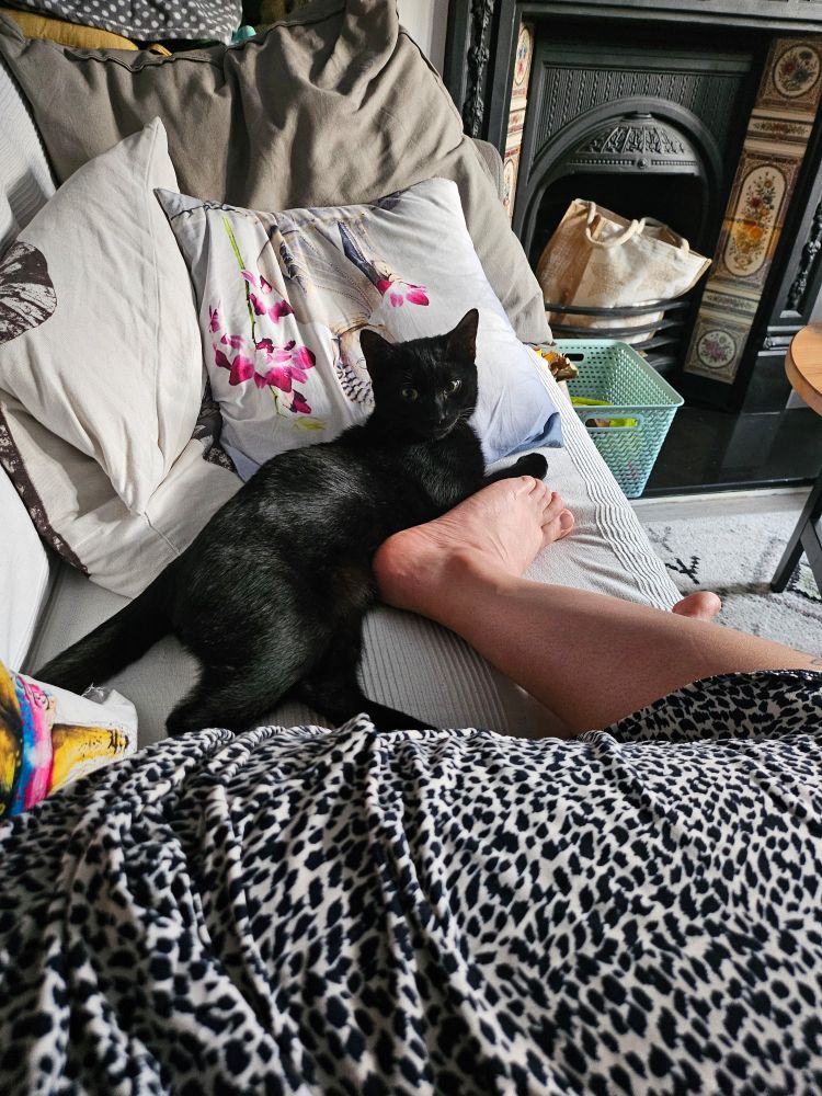 Chili, a black cat, resting their paws on the soles of Charlemagne's feet, which are resting on the seat of their sofa. The photo is taken from Charlemagne's perspective.