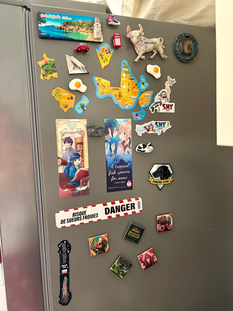 Photo du côté d'un frigo gris on y voit un assortiment de magnets world of warcraft, de mangas, des magnets brossart aussi qui forment des pays, etc