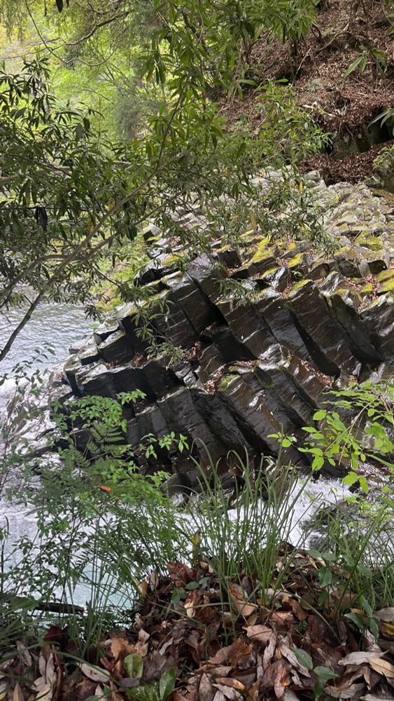 columnar joints in a japanese waterfall. these are rocks carved out when water eroded through the cooled lava.