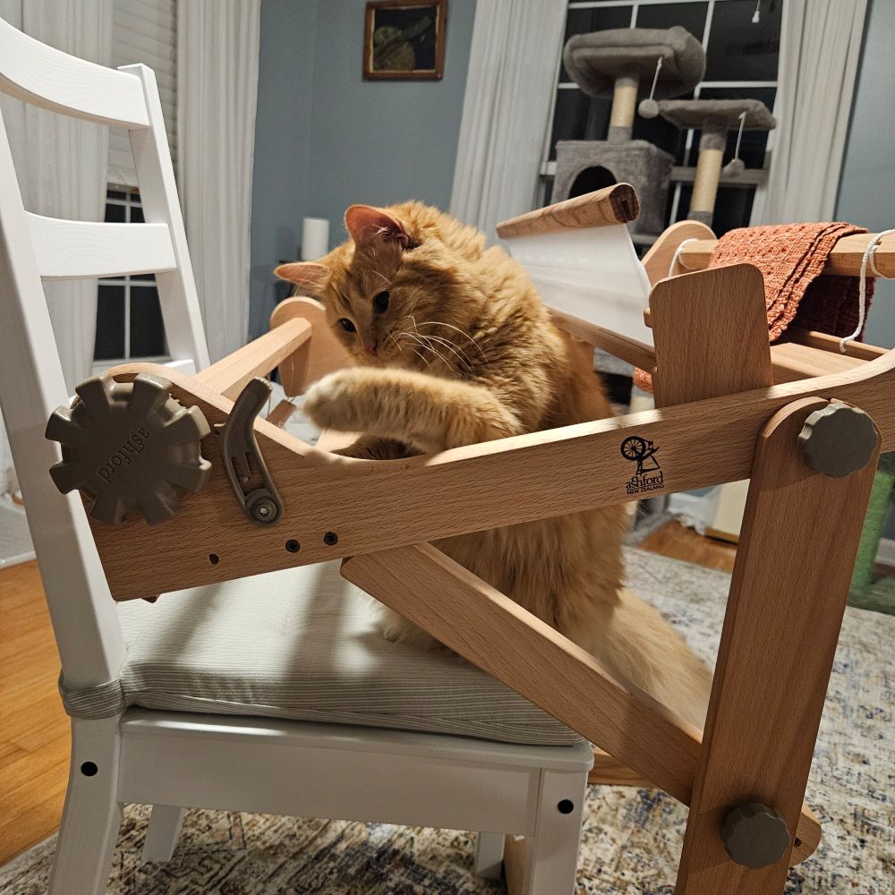 An orange cat sits in the middle of an empty rigid heddle, her paw extended to play with the clicker pawl of the front beam.