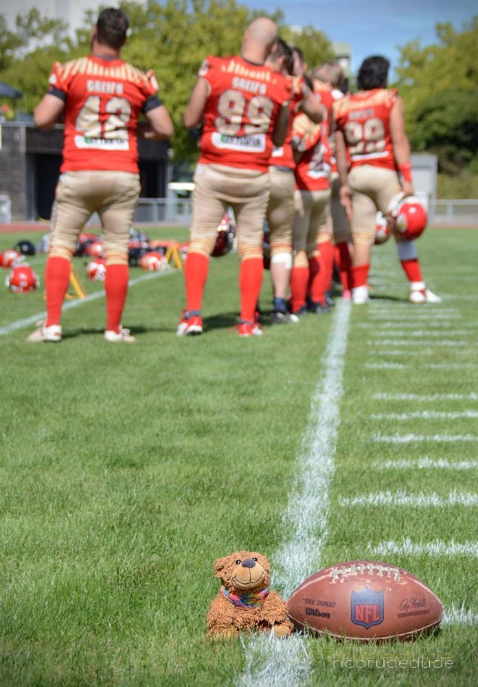FOTO eigen Auf dem Bild sieht man ein Footballfeld. Im Vordergrund, direkt auf der weißen Seitenlinie, liegt ein American-Football-Ball (mit NFL-Logo und der Aufschrift „The Duke“) neben Bärnhardt, dem Lümmelteddy. Im Hintergrund stehen mehrere Footballspieler in roten Trikots mit goldfarbenen Hosen und roten Stutzen. Sie stehen in einer Reihe, manche mit dem Helm in der Hand, während einer Teamzeremonie. Die Trikots tragen die Aufschrift „GREIFS“ sowie Spielernummern. Der Fokus des Fotos liegt deutlich auf Bärnhardt und dem Football im Vordergrund, während die Spieler im Hintergrund unscharf dargestellt sind.