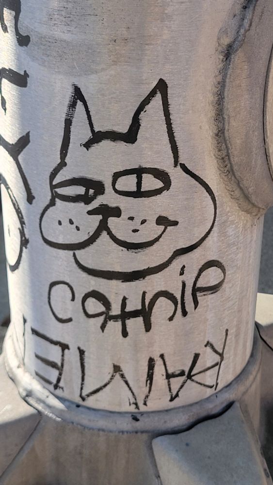 catnip