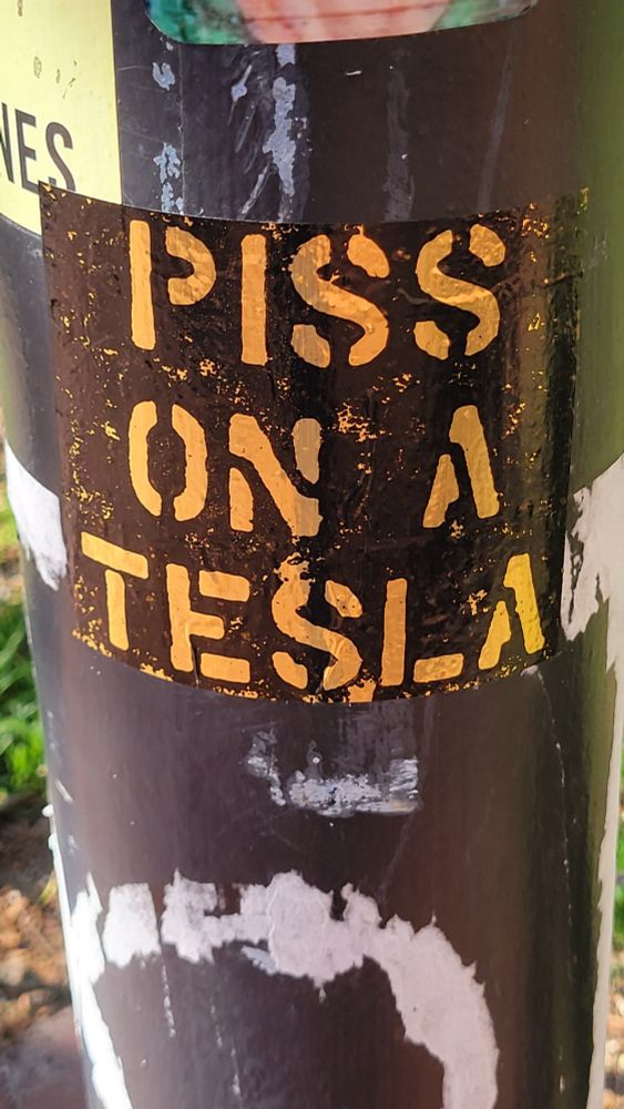 Piss on a Tesla 