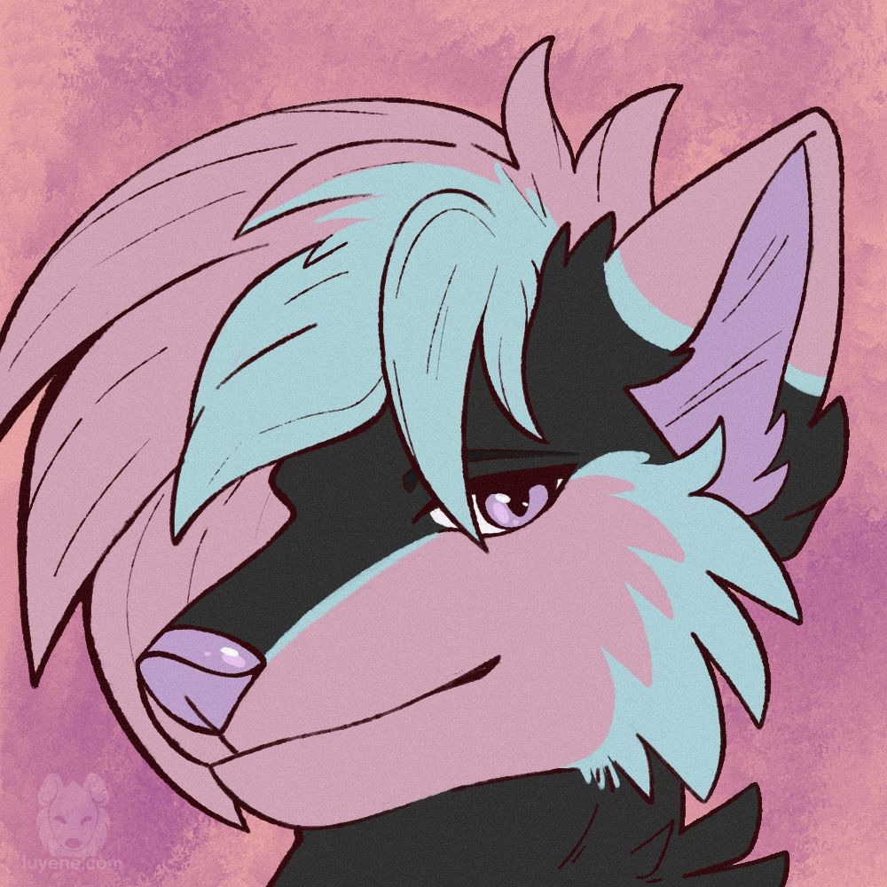 A black anthropomorphic wolf character with pink and pale blue markings, particularly on their ears, muzzle, cheeks, and bangs. The bangs are very large and fluffy. The character is looking at the viewer with a relaxed smile. They are sitting in front of a pink background.